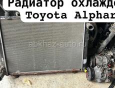 Toyota Alphard автозапчасти 