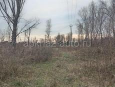 цандрипш 