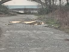 цандрипш 