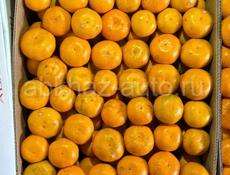 Мандарины готовые !!!🍊🔥