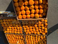 Мандарины готовые !!!🍊🔥