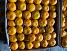 Мандарины готовые !!!🍊🔥
