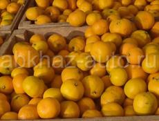Продаются мандарины 