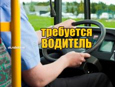 Водитель автобуса 