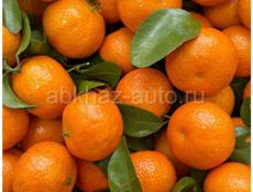 Продаю мандарины 🍊 желательно со своими сборщиками 