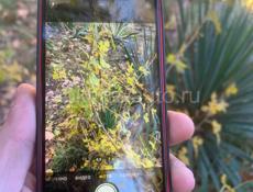 iPhone 12 mini срочно! 