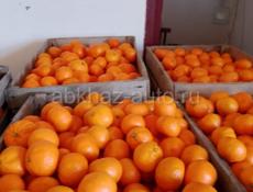 Мандарины перебранные