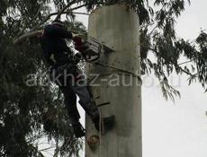 СПИЛ АВАРИЙНЫХ ДЕРЕВЬЕВ 