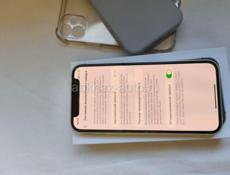 12 mini