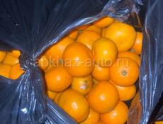 Продам мандарины
