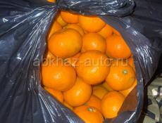 Продам мандарины