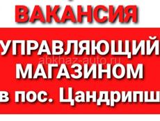 Управляющий магазином в пос. Цандрипш