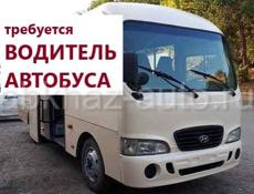 Водитель автобуса