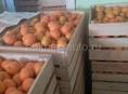Продам мандарины