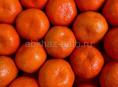 Мандарины 🍊 