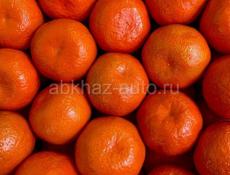Мандарины 🍊 