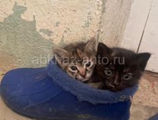 Не проходите мимо !!!!