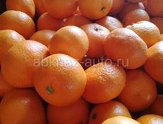 Продаю мандарины перебранные