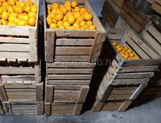 Продам мандарины