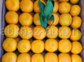 КУПЛЮ ХОРОШИЫЙ МАНДАРИН ПО ОДЫКВАТНОЙ ЦЕНЕ 