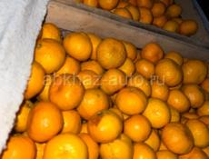 Мандарины 