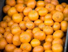 Мандарины 🍊 