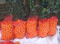 Продам мандарины