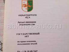 Цитрусовый совхоз