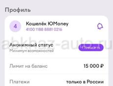 Повышение  статуса электронного кошелька.