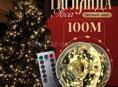 Гирлянда «РОСА» 100 м 