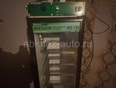 Инкубатор 