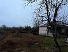 6 км от Гагры бызп подорожник район 