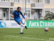 Саженцы Серебристого  Эвкалипта 