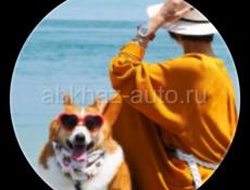 Сдается круглогодично кв на Абазгаа