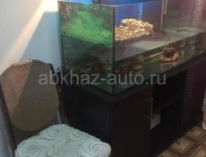Аквариум для черепах