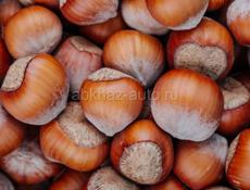 🌰 