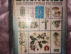 Билогия 6 класс Бактерии.грибы.растения