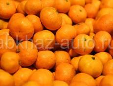 КУПЛЮ МАНДАРИНЫ 