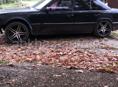 Mercedes-Benz 124