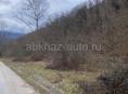Каманы 21 сотка 