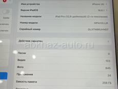 iPad 12 Pro 