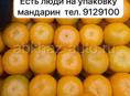 Есть люди на упаковку мандарин