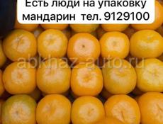 Есть люди на упаковку мандарин