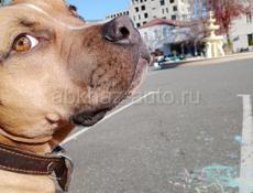 Сниму 1-2 х комнатную квартиру в черте города.