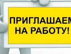 Продавец консультант 