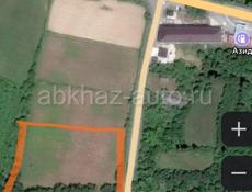 Бамбора 0.5 га