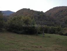 Участок 30 соток, 3 км Бзыбского ущелья 