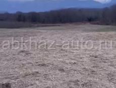 Продается земля 1,5гиктара село ГУП Очамчирски район в доль трассы ц 1,500