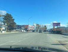 Между Гагрой и Пицундой 