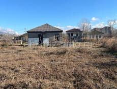 Между Гагрой и Пицундой 